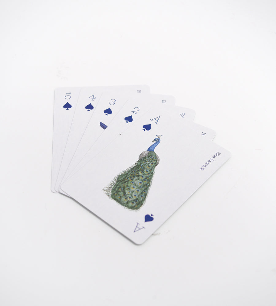 Birds Playing Cards