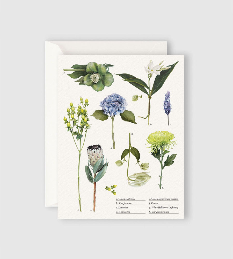 Father Rabbit Stationery | Botanical Collection Card