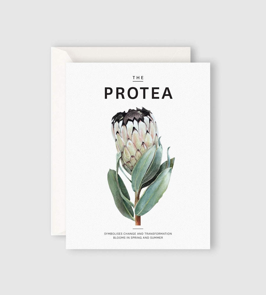 Father Rabbit Stationery | The Protea Card