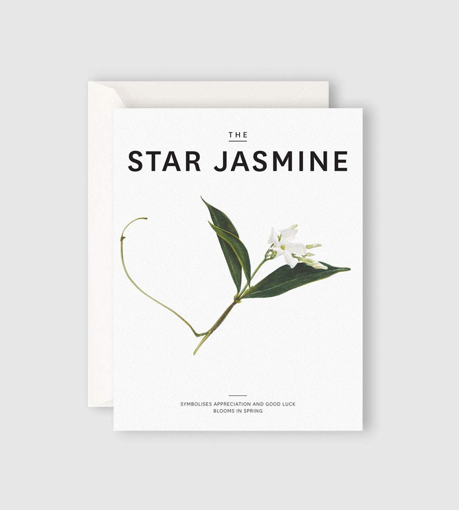 Father Rabbit Stationery | The Star Jasmine Card