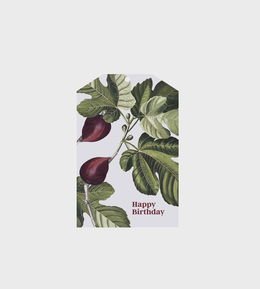 Father Rabbit Stationery | Gift Tag | Fig Happy Birthday
