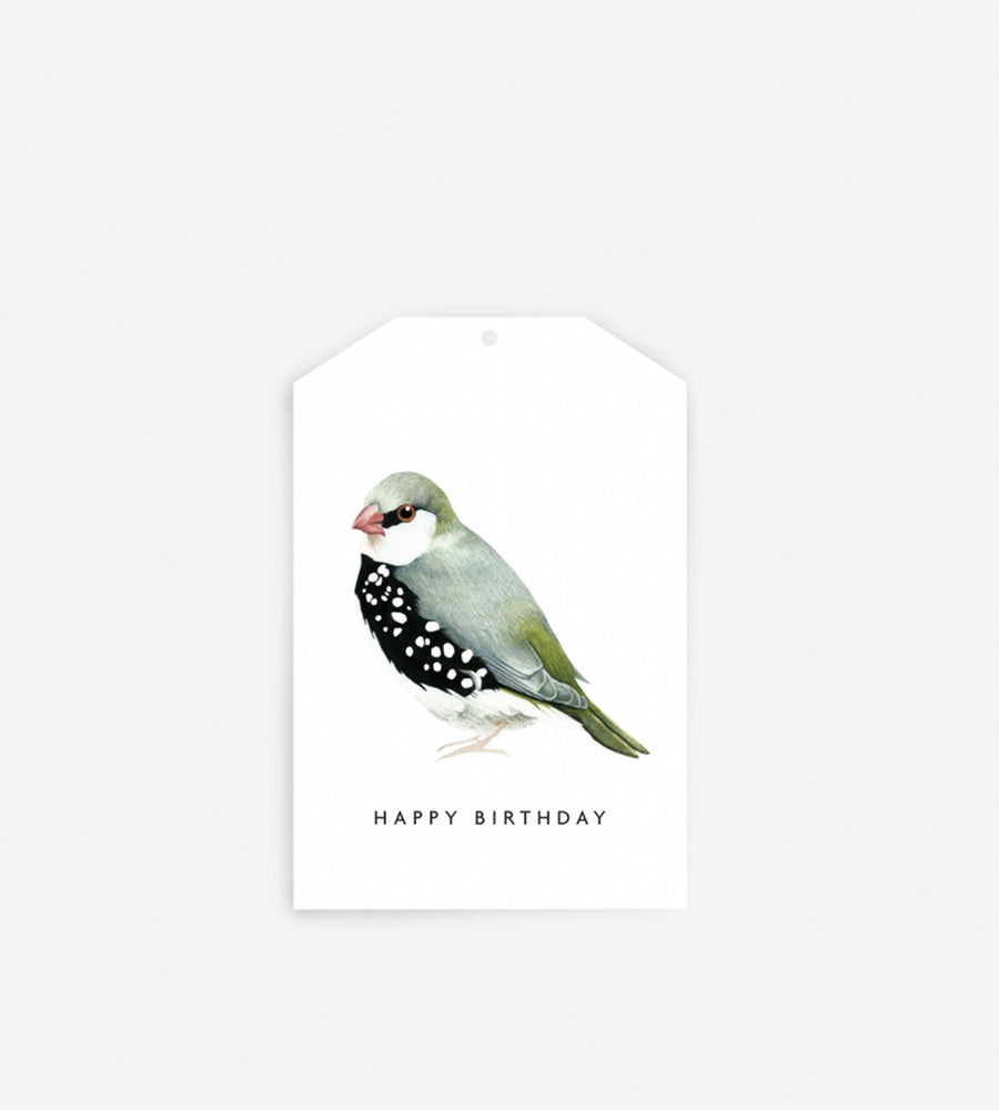 Father Rabbit Stationery | Gift Tag | Happy Birthday Bird