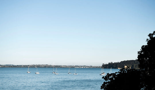 Herne Bay Community
