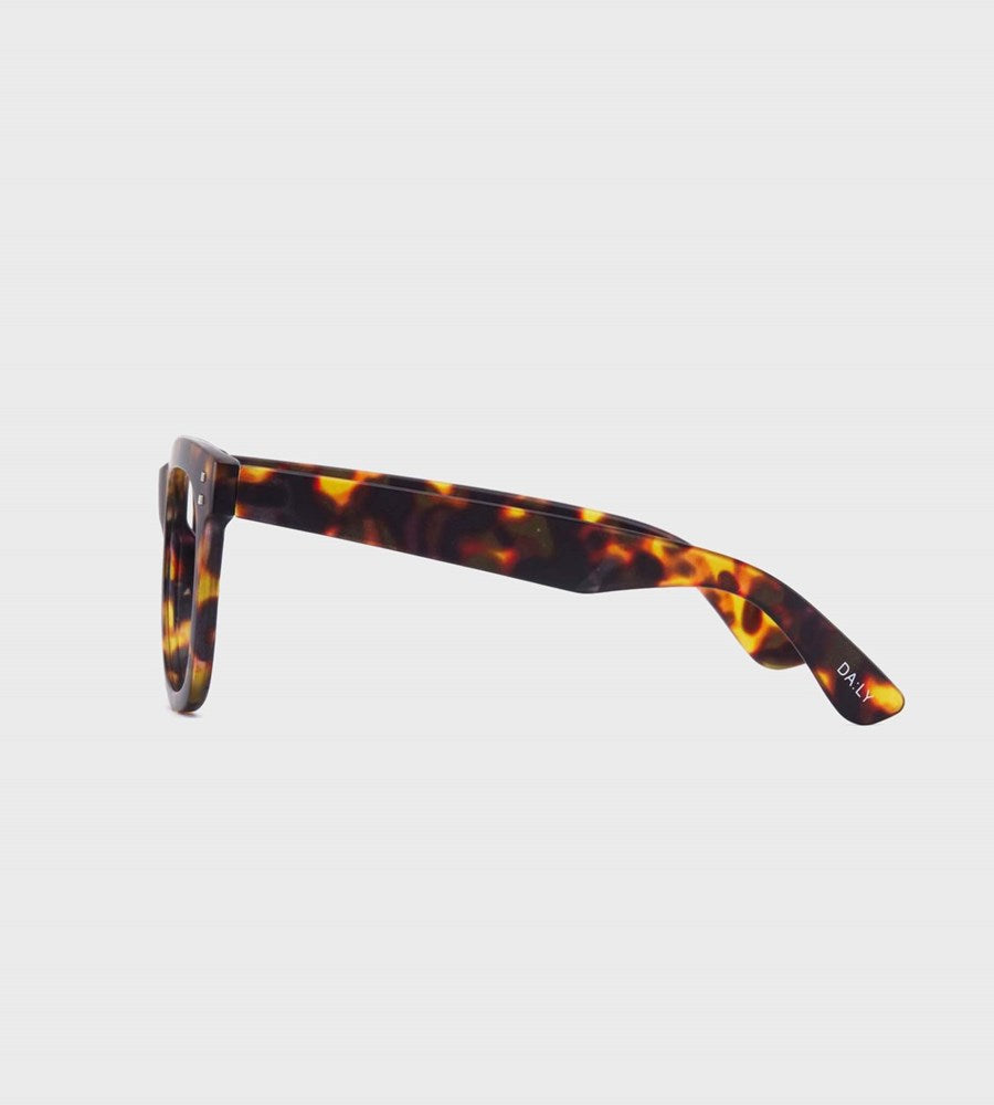 11am Brown Tort Reading Glasses
