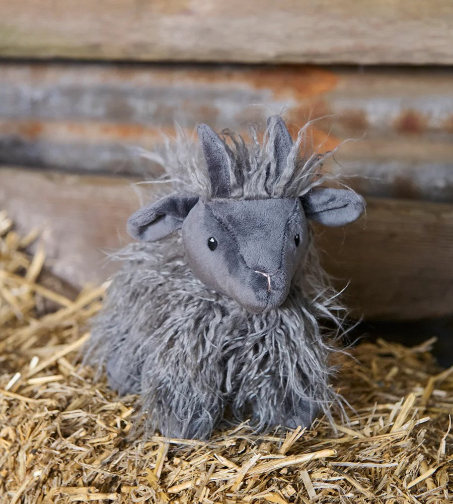 Aiden the Angora Goat