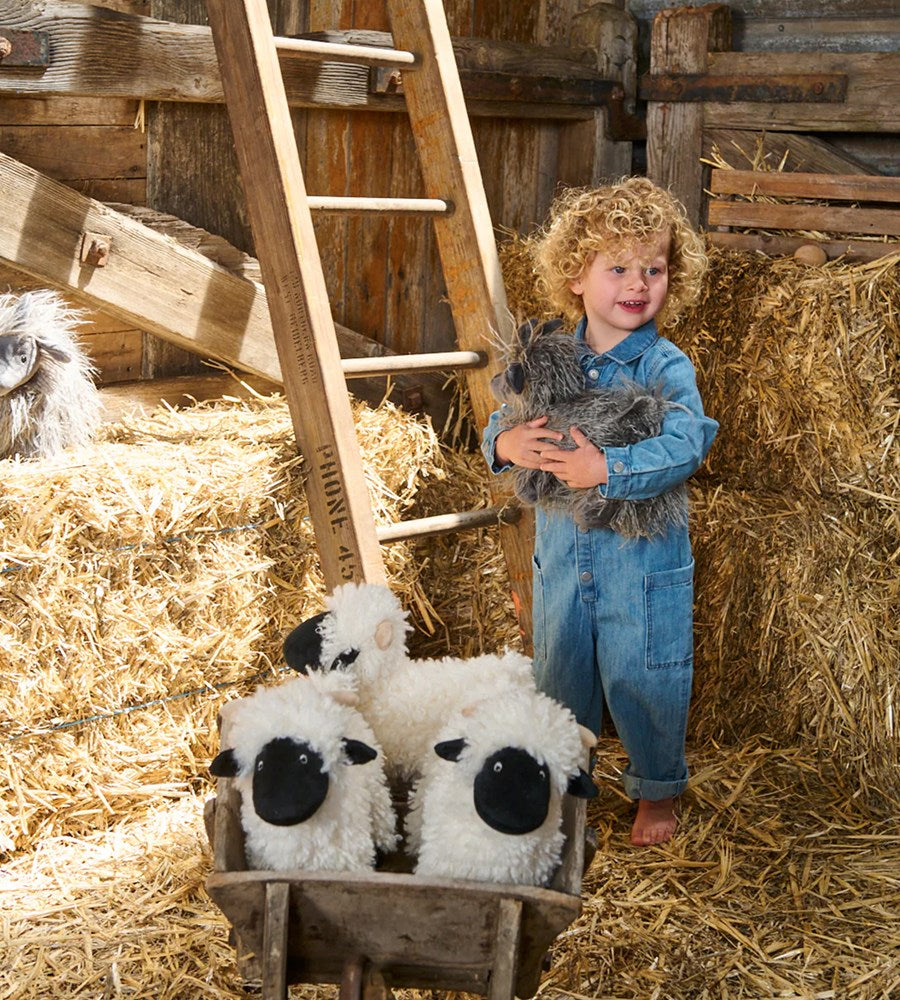 Aiden the Angora Goat