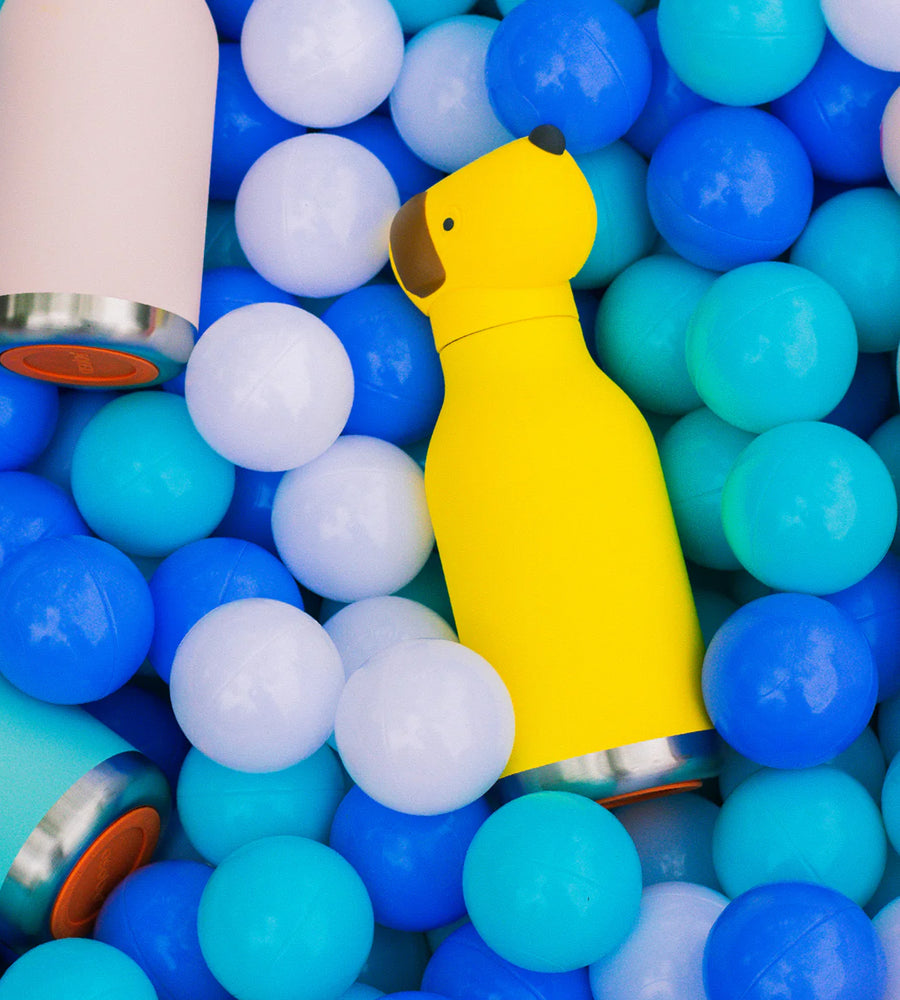 Yellow toy duck among colorful plastic balls in a ball pit