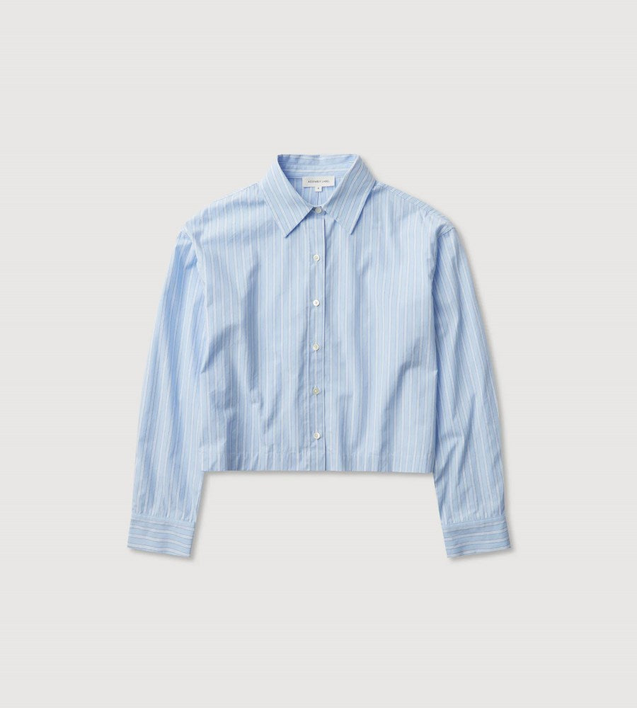 Blue striped shirt on a light gray background