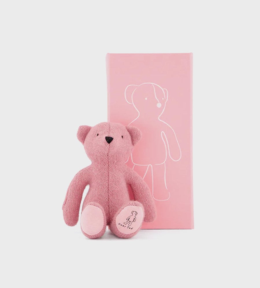 Pink teddy bear with a matching pink gift box on a white background