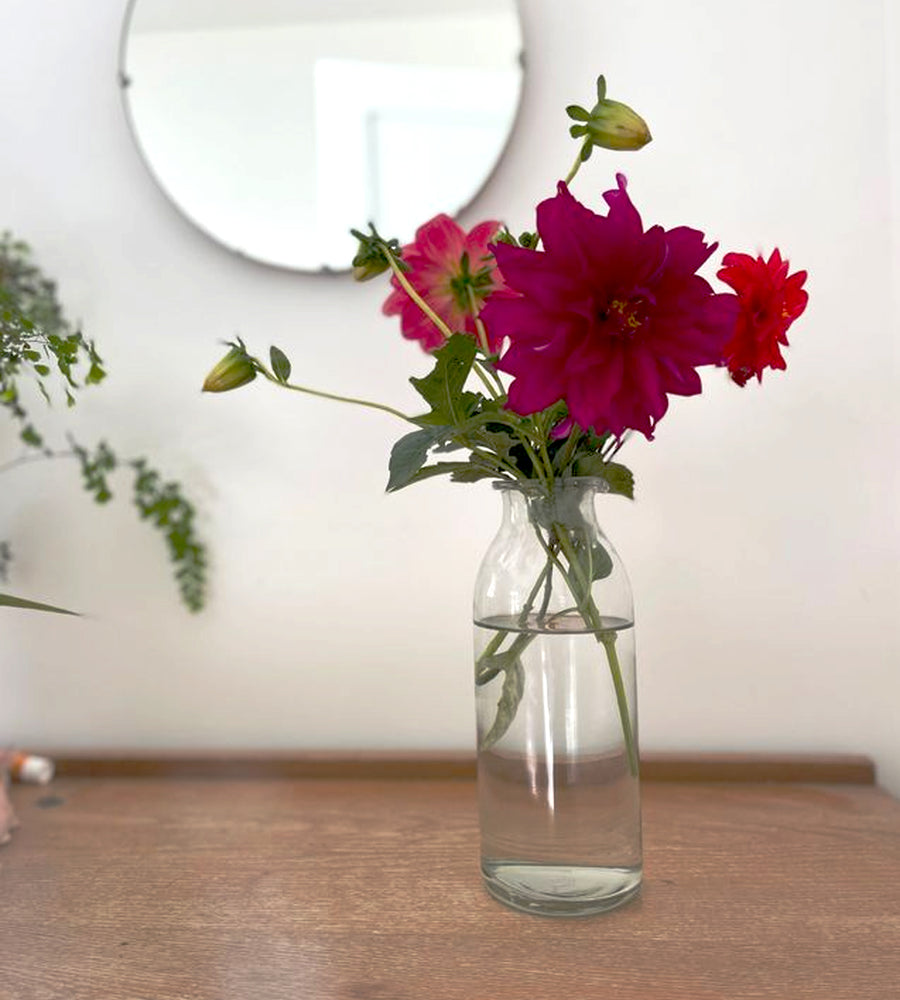 Clear Bottle Vase