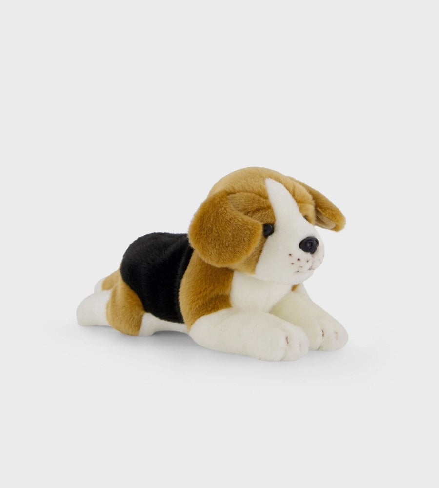 Snuggle Bunnies | Brooklyn the Beagle | 30cm