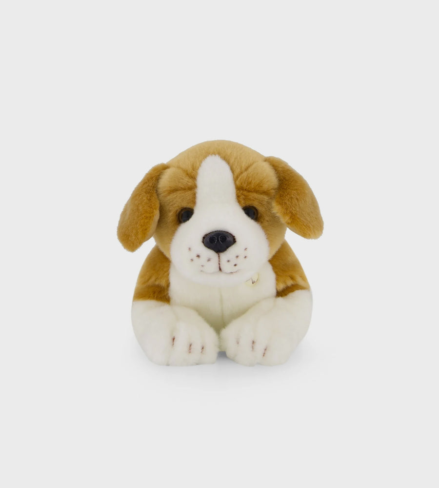 Snuggle Bunnies | Brooklyn the Beagle | 30cm