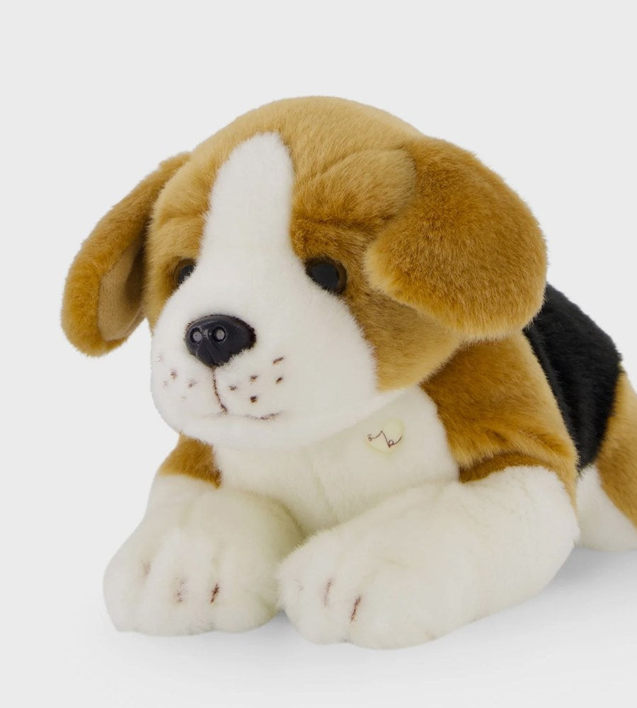 Snuggle Bunnies | Brooklyn the Beagle | 30cm