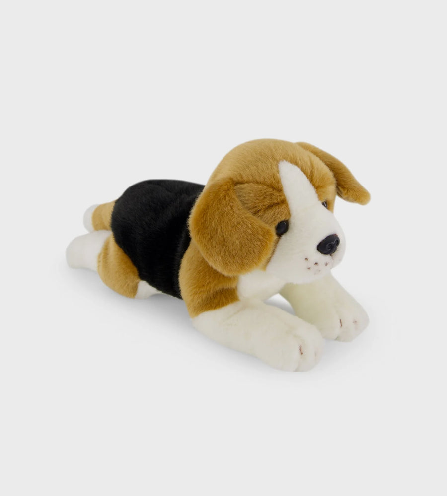 Snuggle Bunnies | Brooklyn the Beagle | 30cm