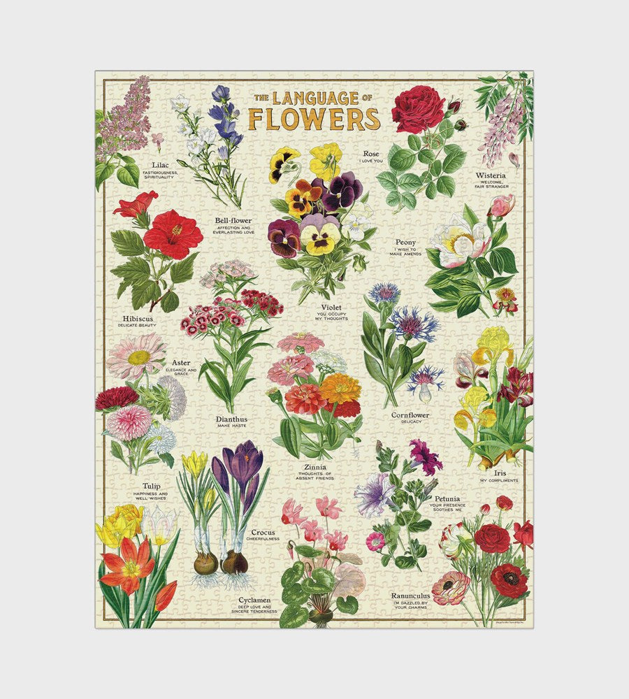 Poster of 'The Language of Flowers' with various flowers and their meanings on a beige background.