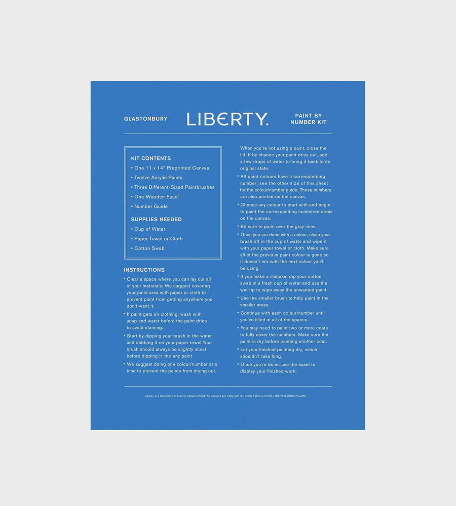 Blue paint kit information sheet with text on a light gray background