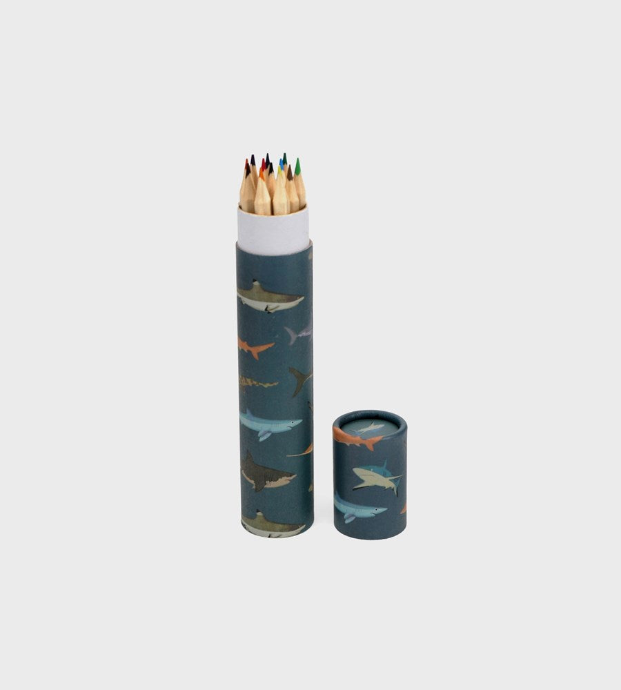 Long Tube Of Colouring Pencils | Sharks