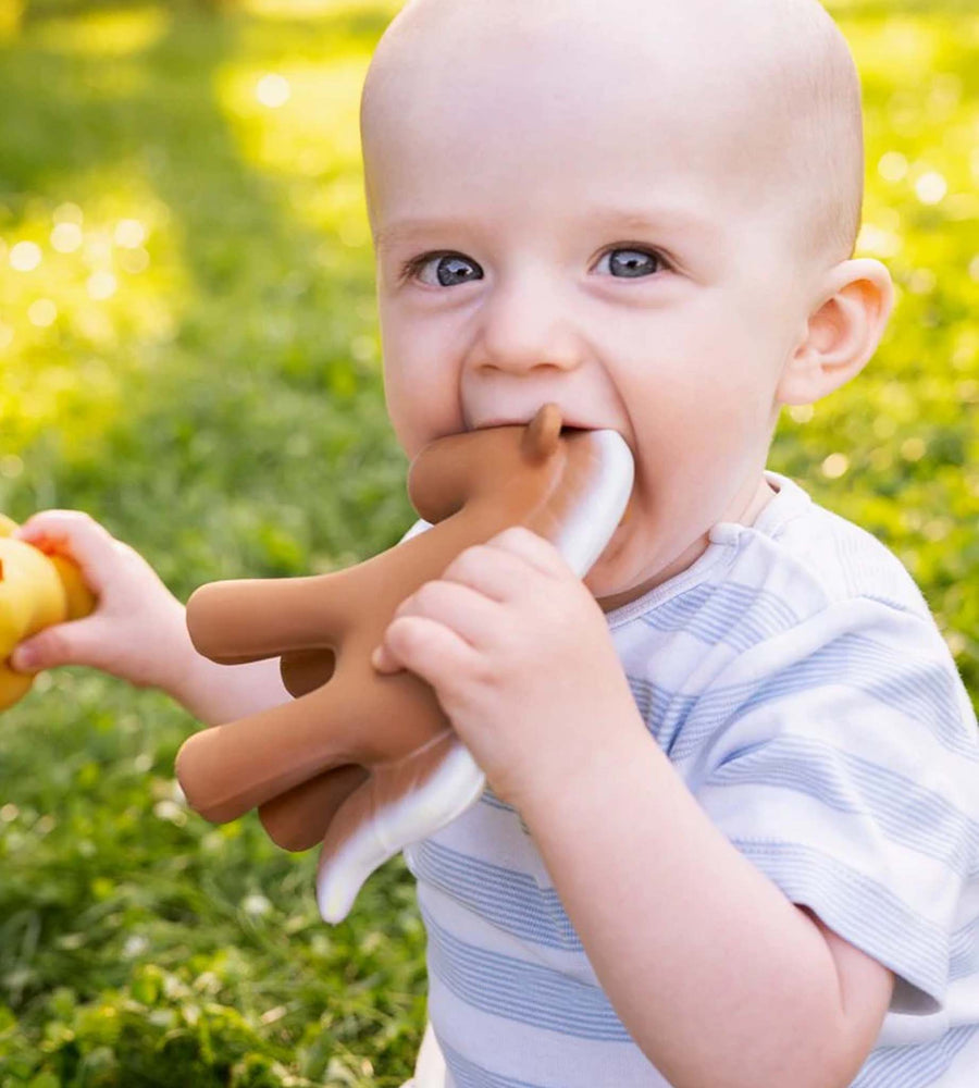 Baby holding a brown teething toy outdoors with green grass in the background