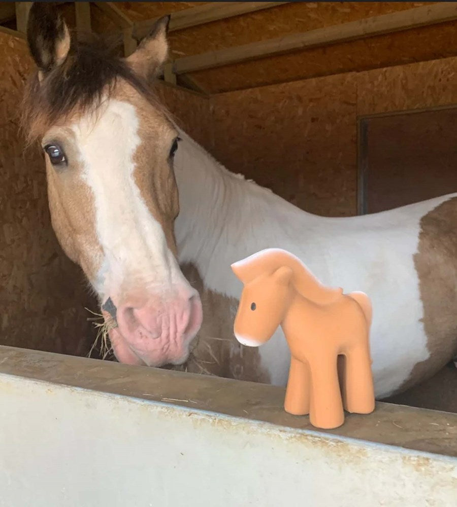 Horse looking at a toy horse figure in a stable.