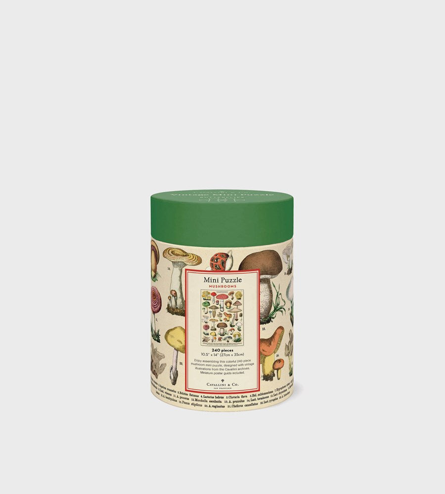  cylindrical puzzle box with a green lid and illustrated side on a white background