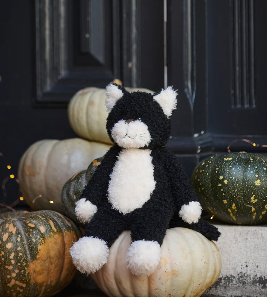 Black and white cat plush toy among pumpkins against a dark background