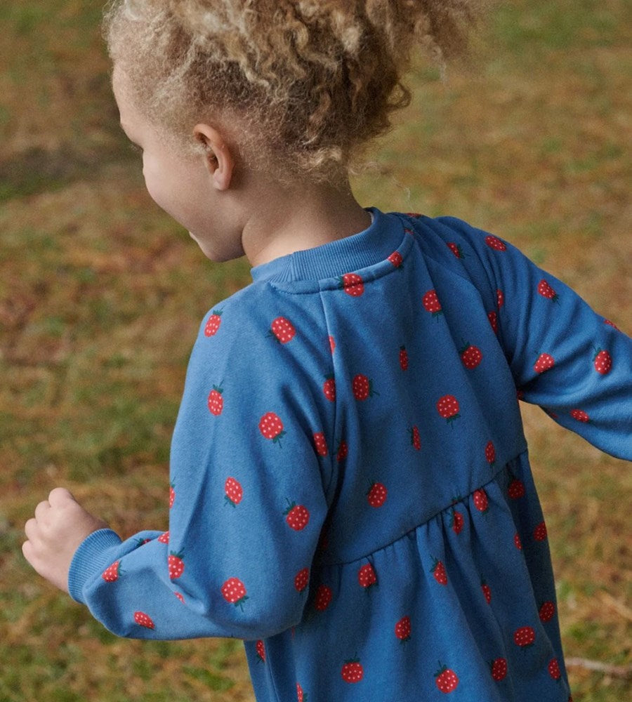 Nature Baby I Ines Dress I Raspberry Blue Print