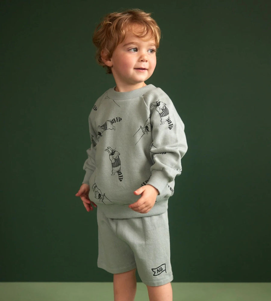Child wearing a gray sweatshirt and shorts set with small designs on a green background
