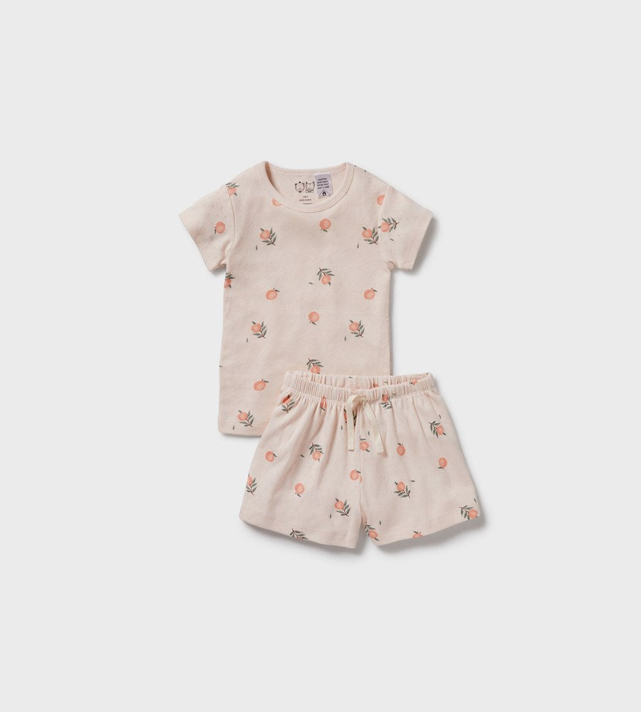 Wilson & Frenchy | Organic Pointelle Short Sleeved Pyjamas | Peaches