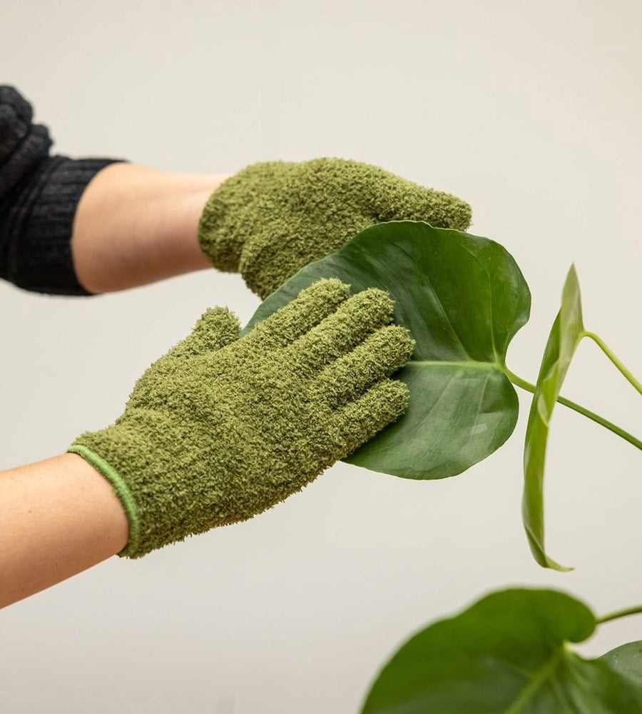 Person wearing green gardening gloves holding a leafy plant against a plain background