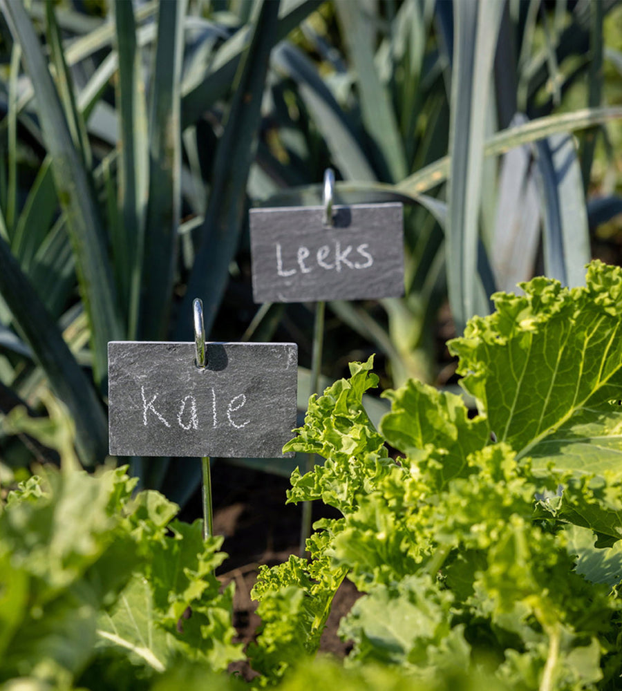 Planter Stick with Slate Label
