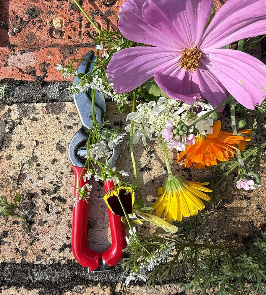 Red and silver pliers with a collection of colorful flowers on a brick surface