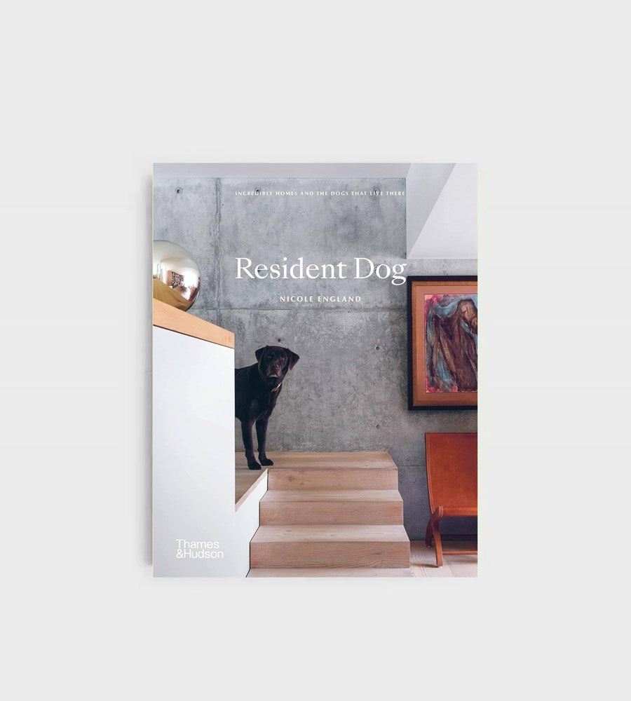 Resident Dog | Nicole England