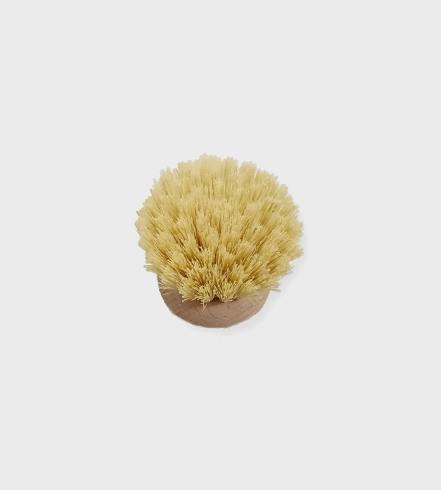 Tampico Dish Brush | Replacement Head