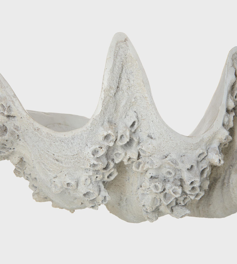 Decorative coral-like structure on a white background