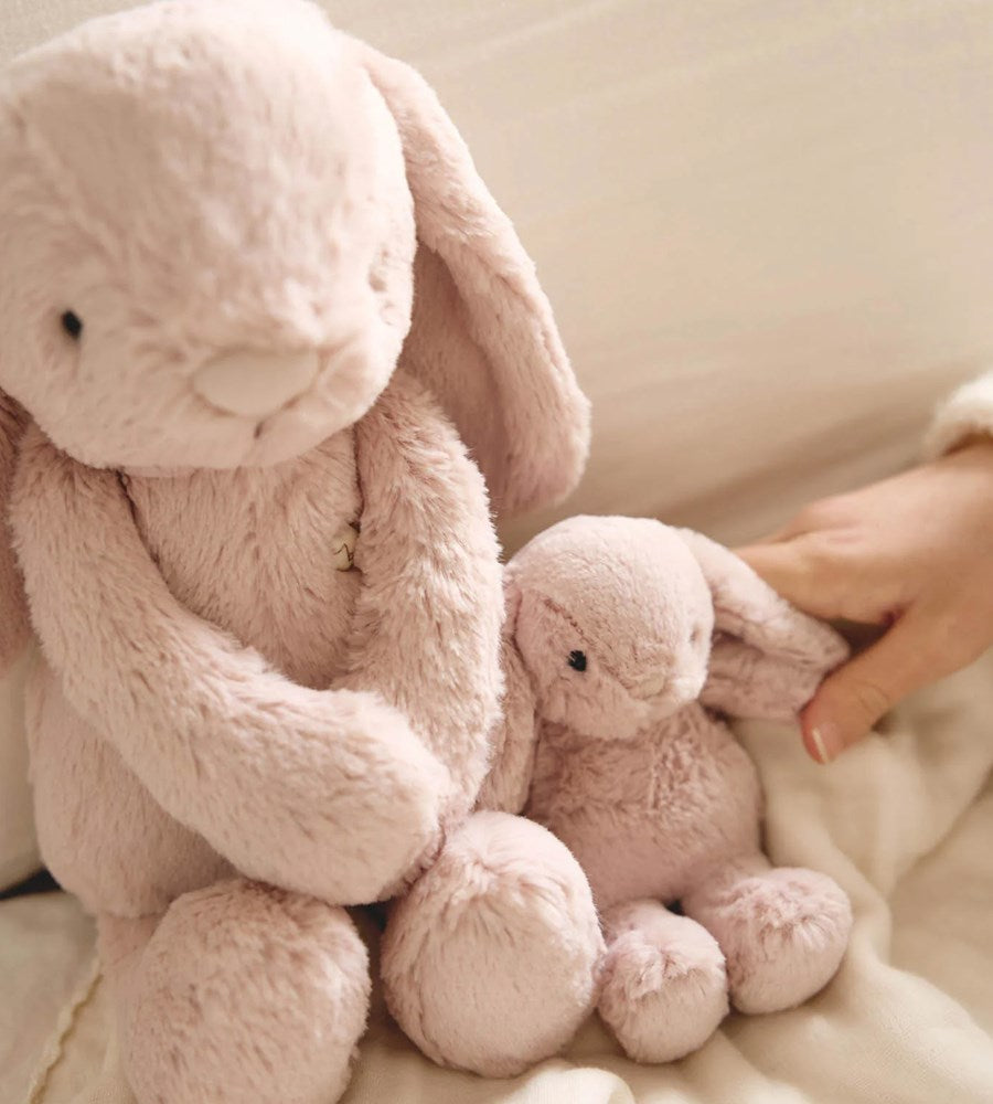 Snuggle Bunnies | Frankie the Bunny | Blush