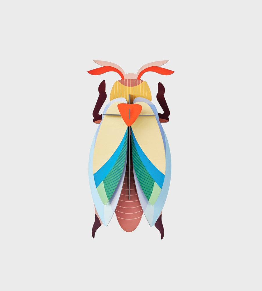 Studio Roof | Beetles Wall Art A4 | Lunar Jewel Beetle