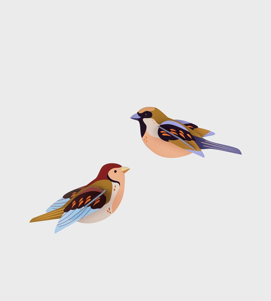 Studio Roof | Birds Wall Art B6 | Sparrows