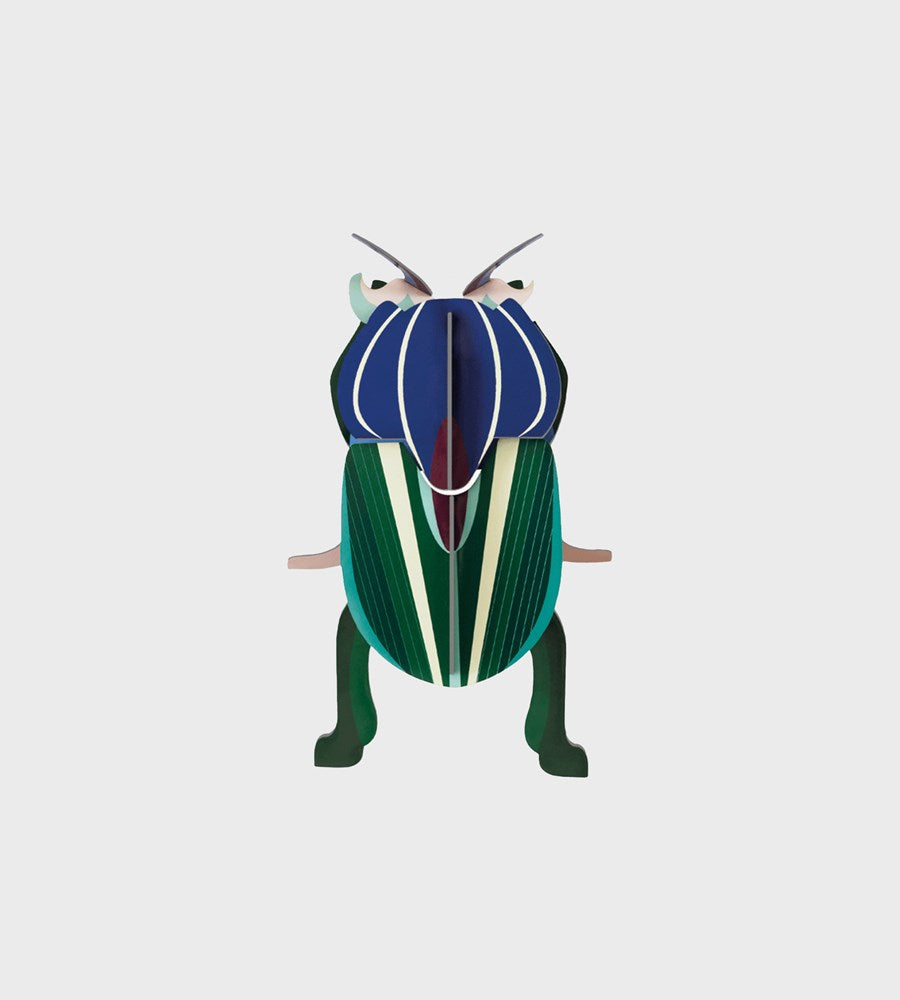 Studio Roof | Wall Art Beetles  B7 | Mimela Scarab Beetle