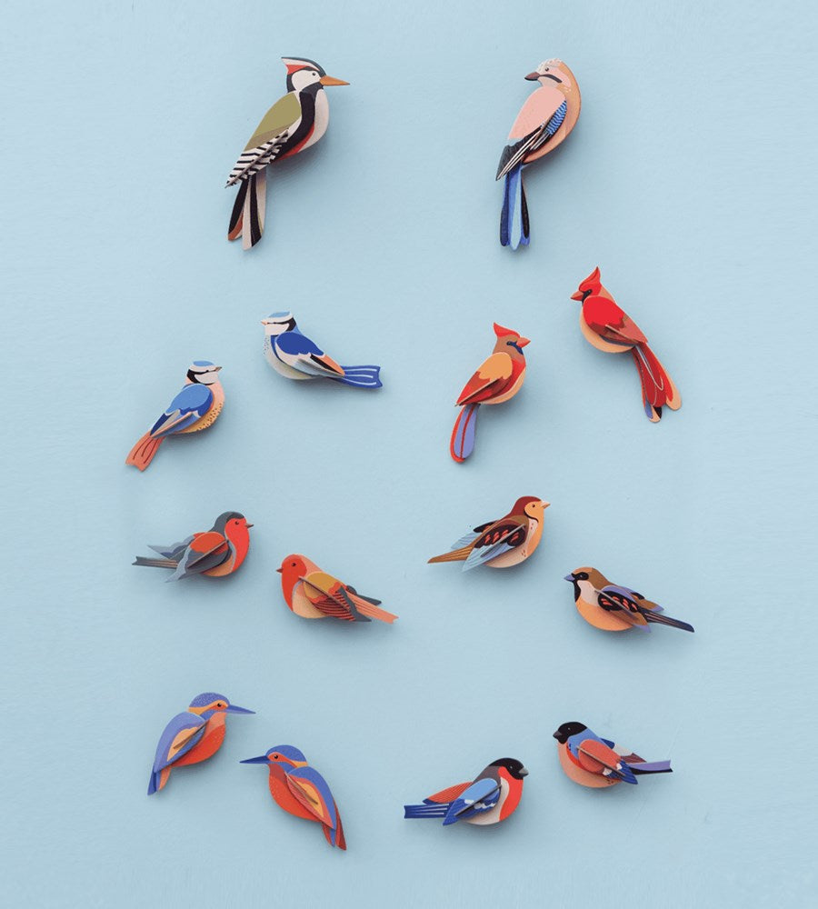 Studio Roof | Wall Art Garden Birds B6 | Finches