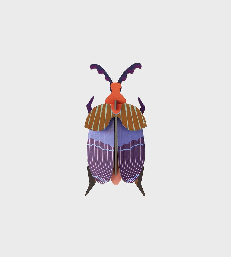 Studio Roof | Wall Art Beetles B7 | Queen Beetle