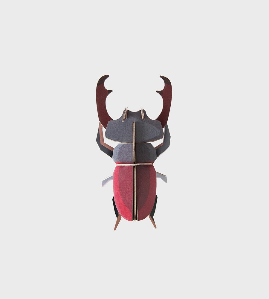 Studio Roof | Wall Art Beetles B7 | Stag Beetle