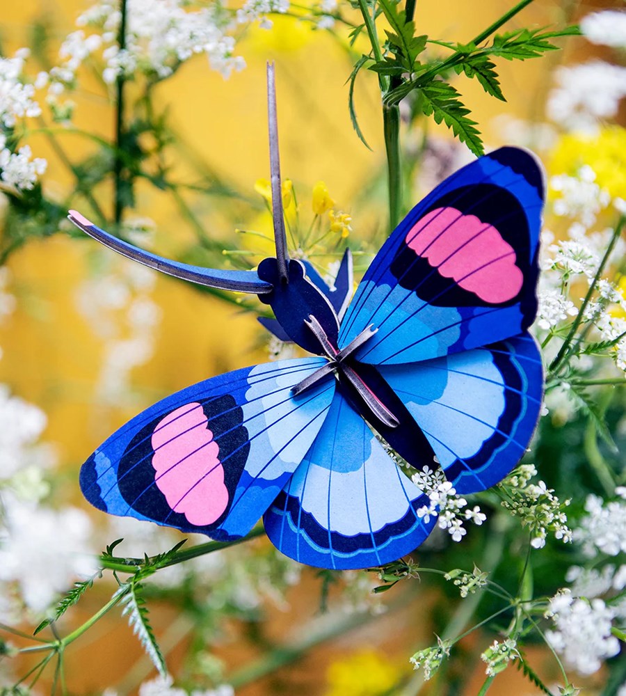 Studio Roof | Wall Art Butterflies B7 | Peacock Butterfly