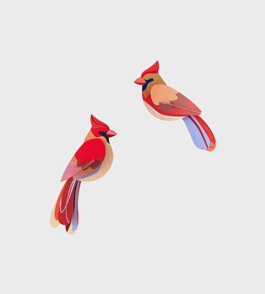 Studio Roof | Wall Art Garden Birds B6 | Cardinals