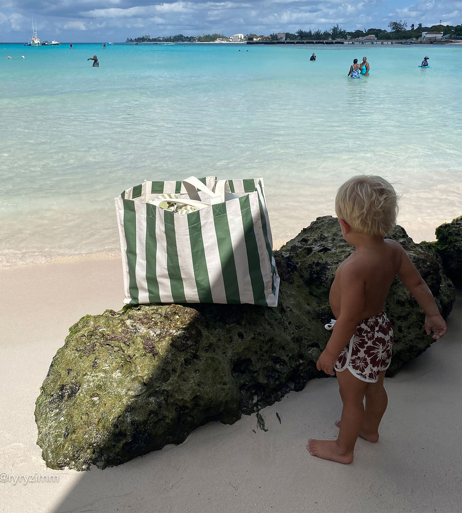 Child standing on a rock by a beach with a green and white striped bag