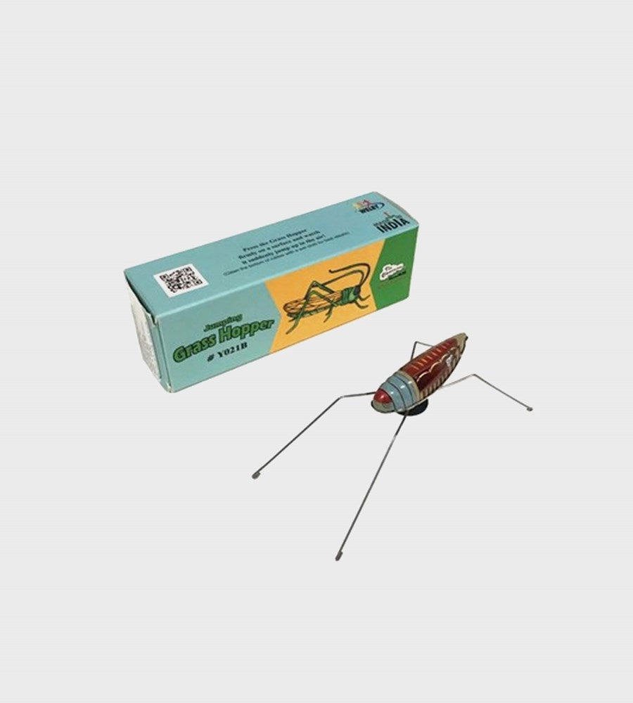 Toy grasshopper model in front of its packaging box on a white background