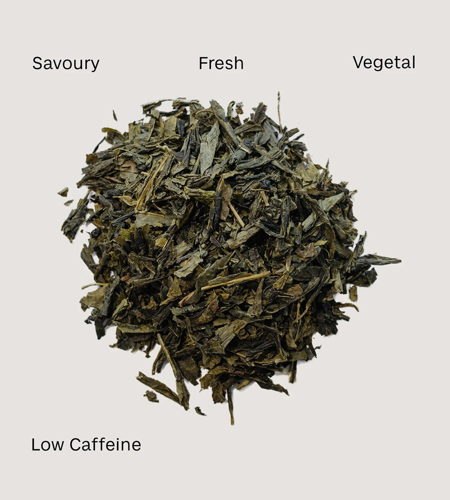 Webster's Tea | Green Tea | Sencha