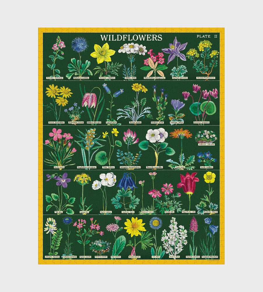 Poster of wildflowers with a green background and yellow border