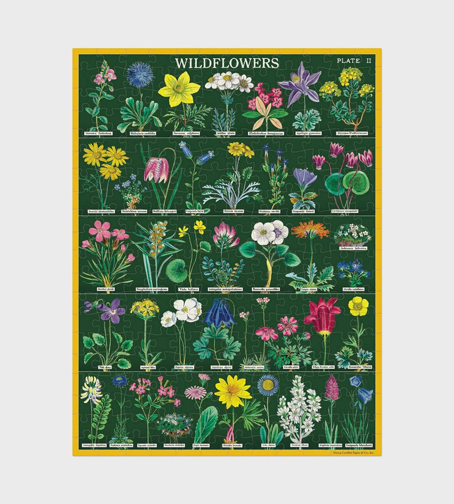 Poster of wildflowers with colorful illustrations on a green background
