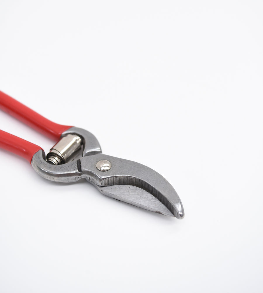 Pruning shears with red handles on a white background