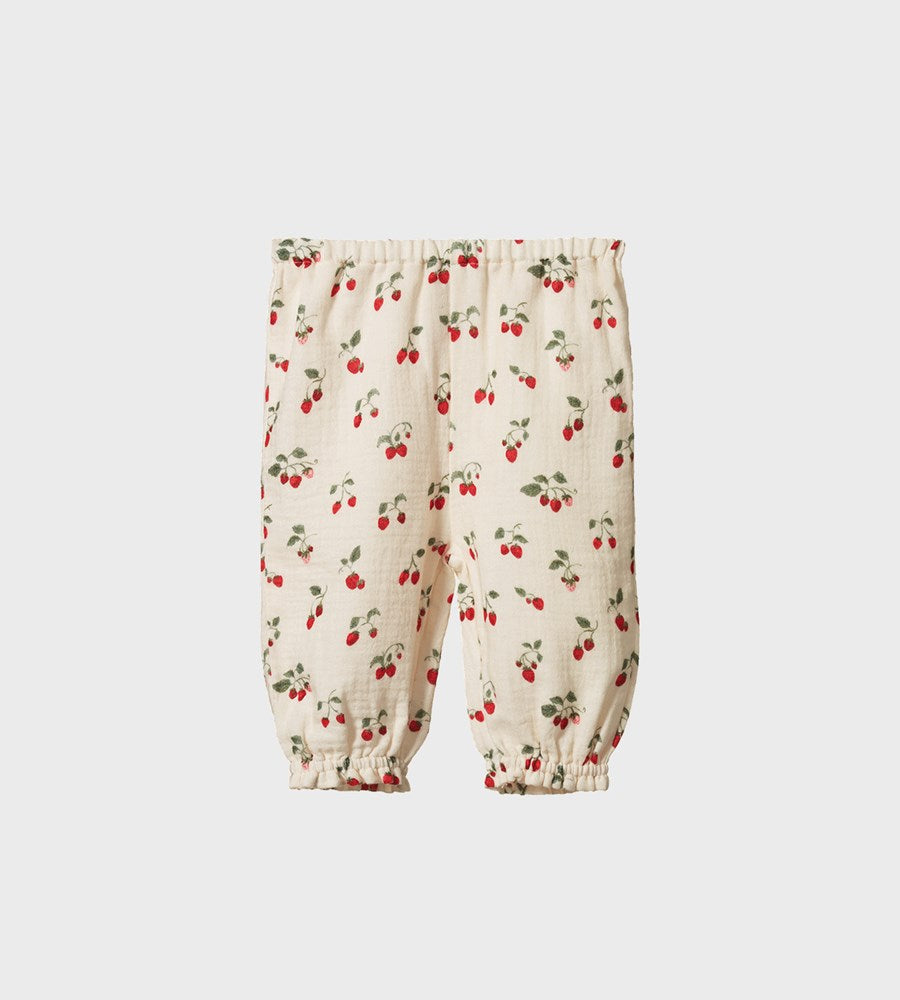 Children's pants with cherry pattern on a white background